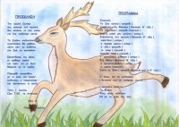 /album/%20%ce%b5%ce%bb%ce%bb%ce%b1%ce%b4%ce%b1%20-%ce%b1%ce%b3%cf%81%ce%b9%ce%b1%20%ce%b6%cf%89%ce%b1/scan10011-jpg/